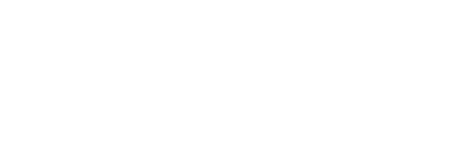 Maids R Rollin